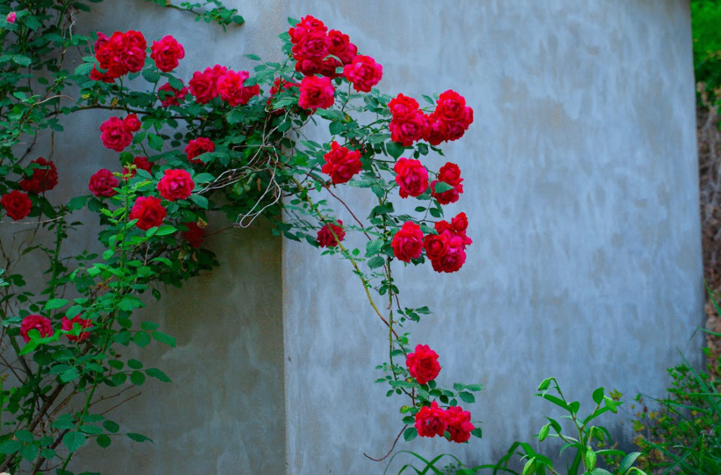 buitenmuur schilderen